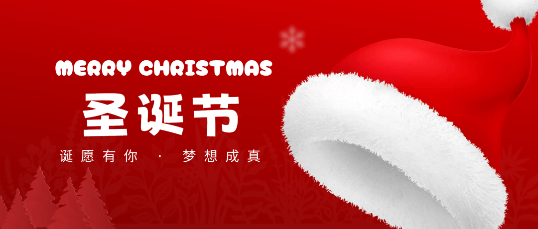 祝您節(jié)日快樂！Merry Christmas！